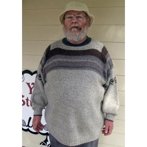 Power Sleeves Pullover