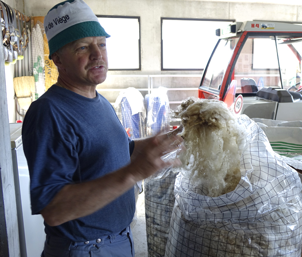 farmer with sheep fleece