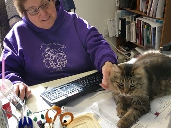 tami robus working with cat bill, a maine coon